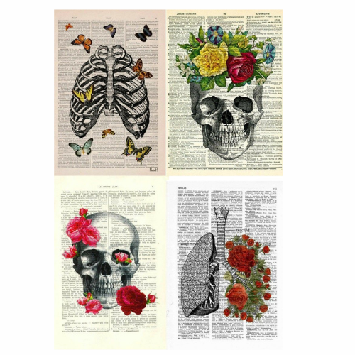 پک پوستر ژورنال شماره 11