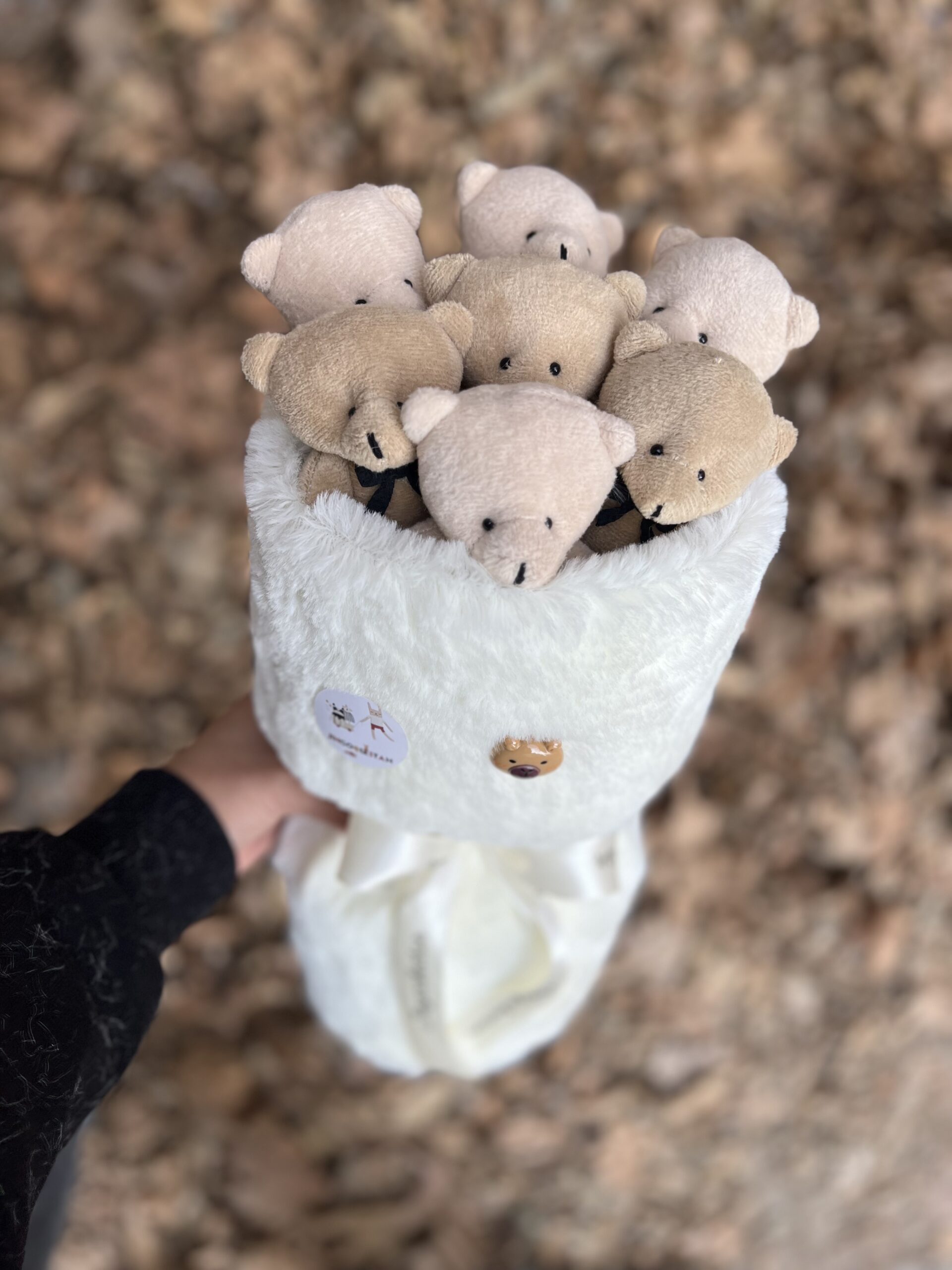 بوکت عروسک تدی