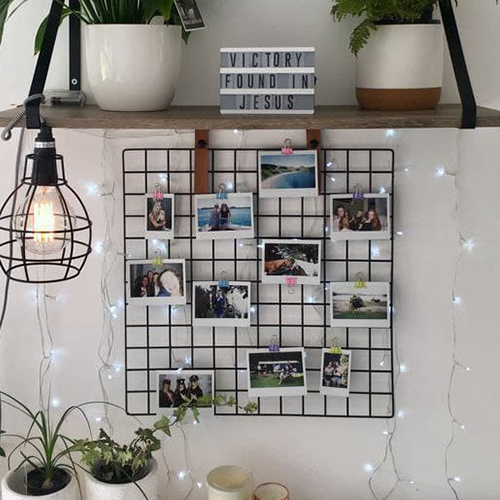 پک ویژن برد