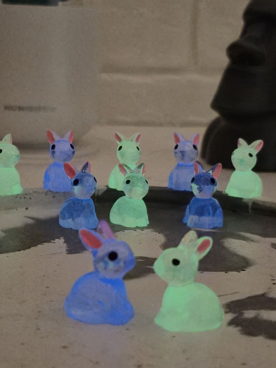 شب تاب خرگوش