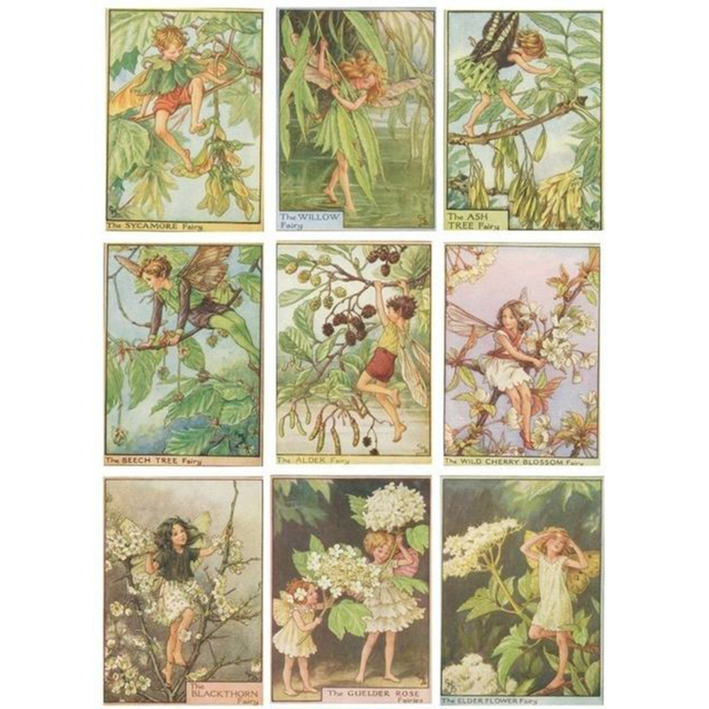 پوستر ژورنالی شماره 13