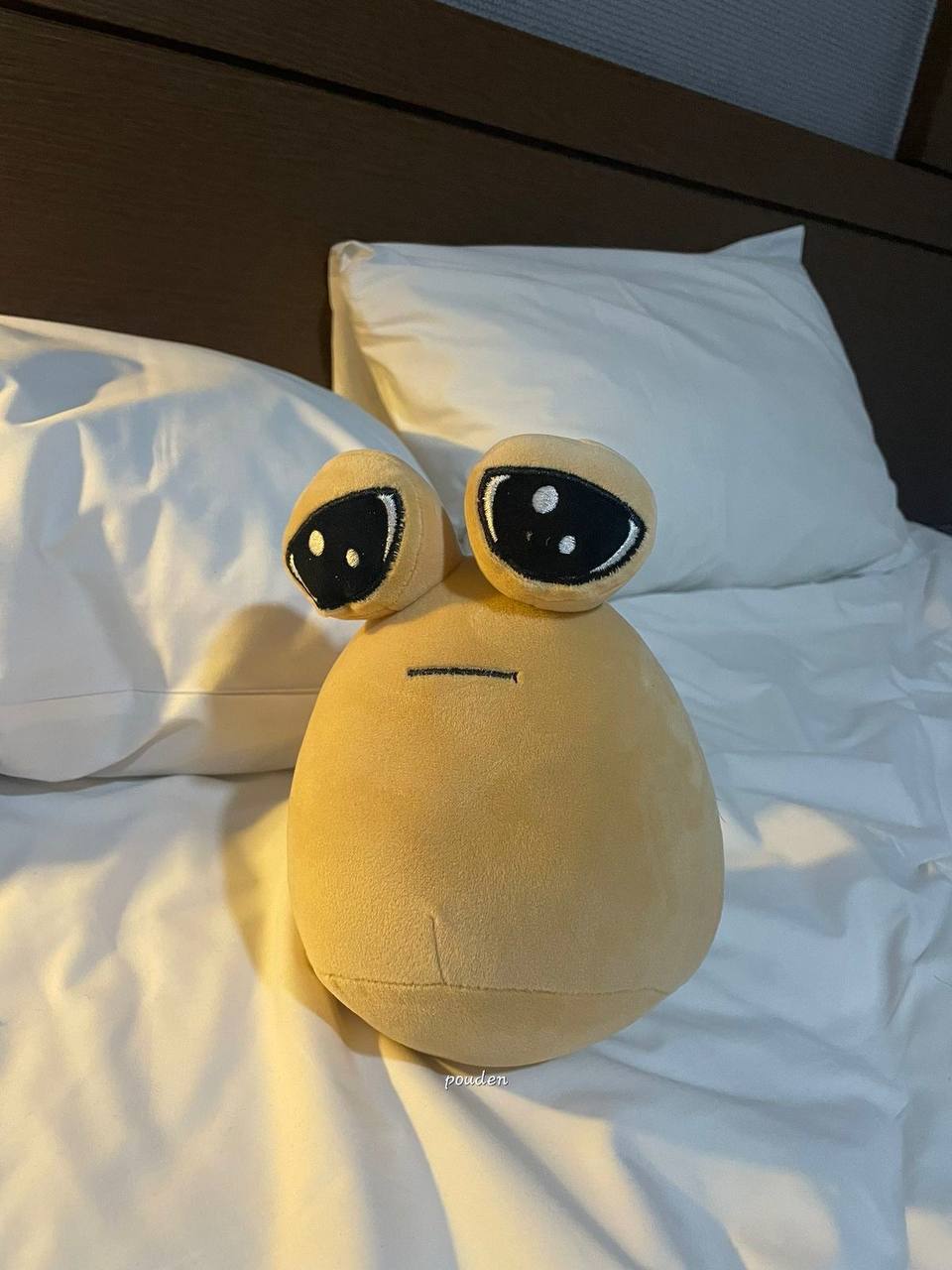 عروسک پو غمگین