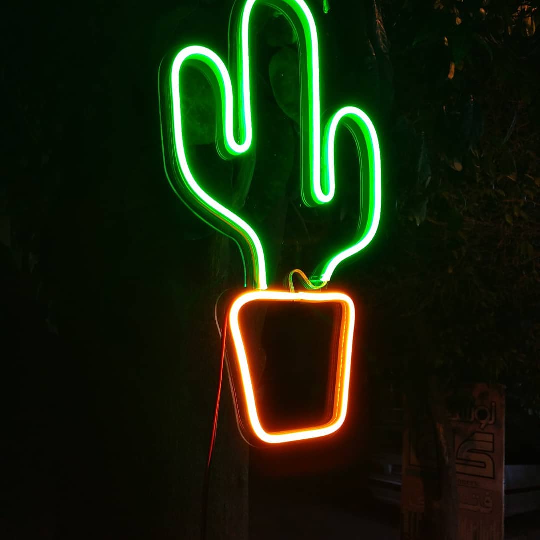 کاکتوس  نئونی