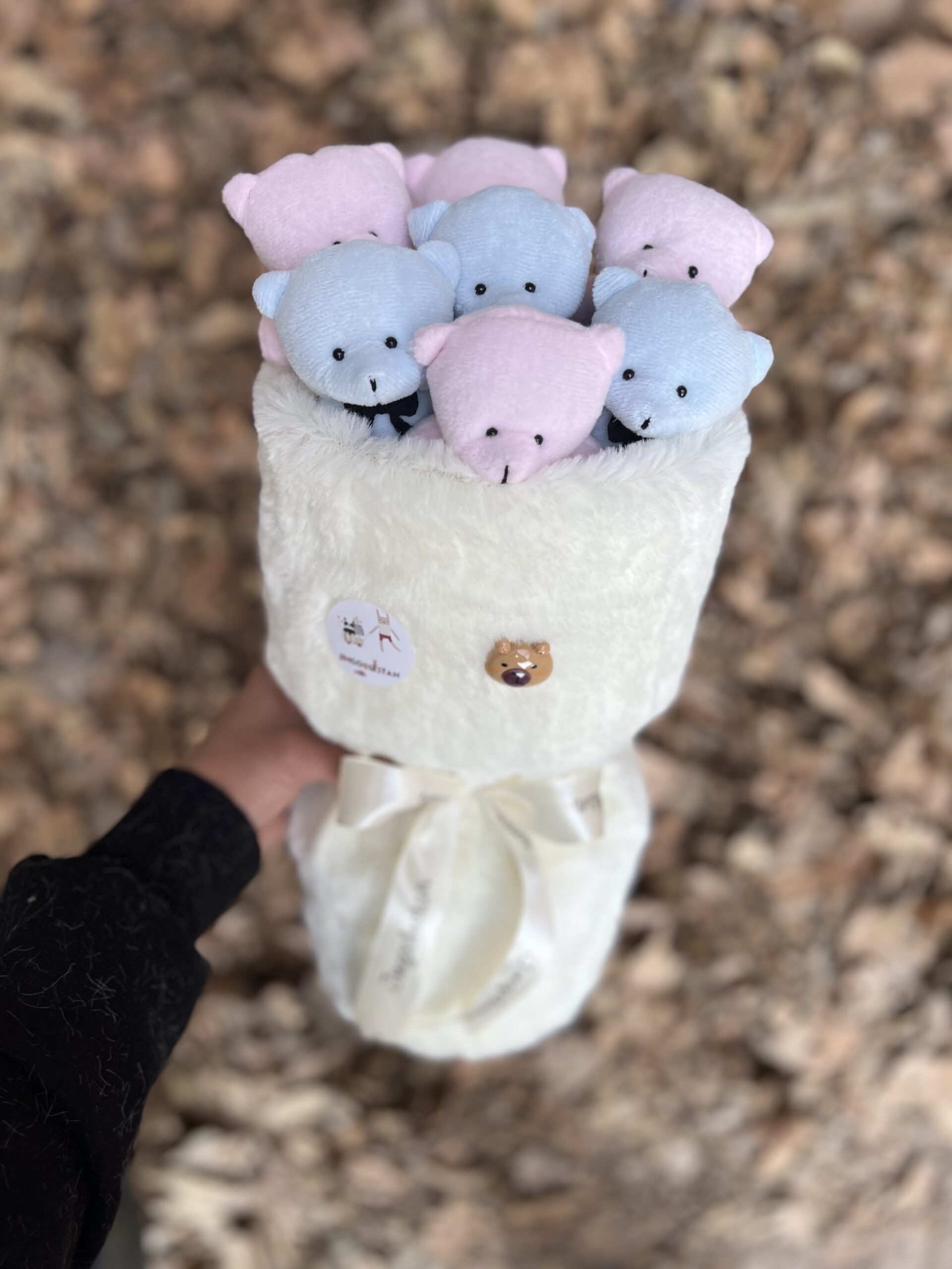 بوکت عروسک تدی